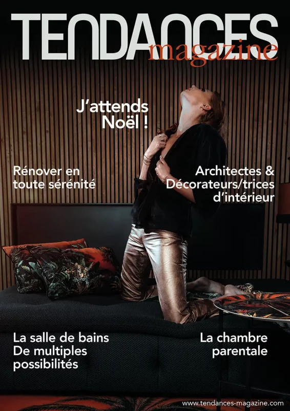 Tendances Magazine Magazine Deco Maison Couv Decembre