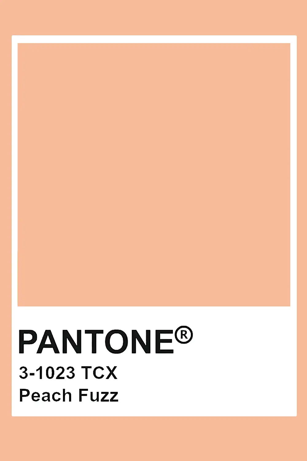 Tendances Magazine Magazine Deco Maison PANTONE Copie