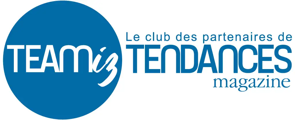 Tendances Magazine Magazine Deco Maison Teamiz Couleurs