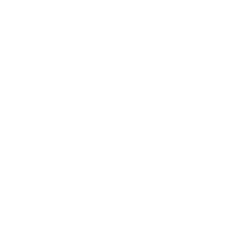 QUEMENEUR CSIM