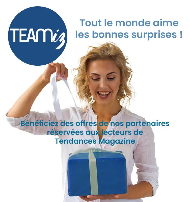 Tendances Magazine Magazine Deco Maison Pub Teamiz Site 2