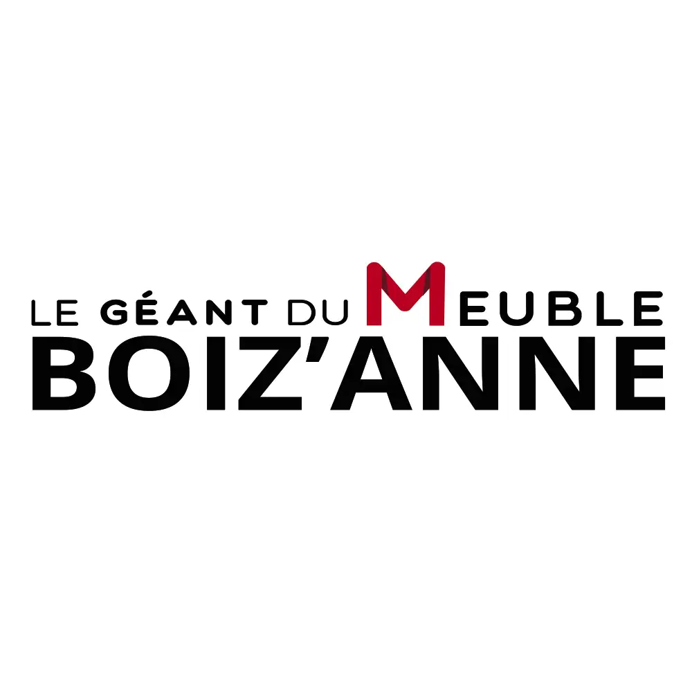 Tendances Magazine Magazine Deco Maison Boizanne Logo Copie