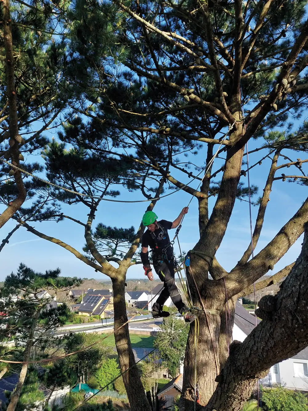 Tendances Magazine Magazine Deco Maison PEN AR BED IMG 20260306 WA0007 Tendances Magazine Magazine Deco Maison PEN AR BED