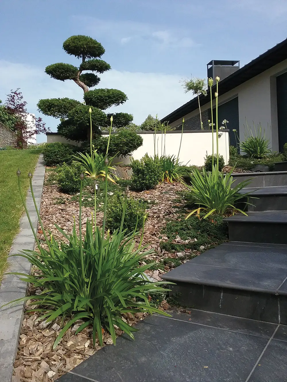 Tendances Magazine Magazine Deco Maison Delonglees 20190628 095159 Tendances Magazine Magazine Deco Maison Delonglees