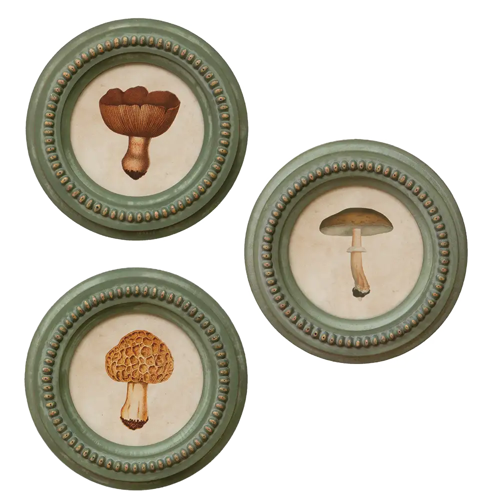 Tendances Magazine Magazine Deco Maison CHEHOMA 3 Tendances Magazine Magazine Deco Maison CHEHOMA 3